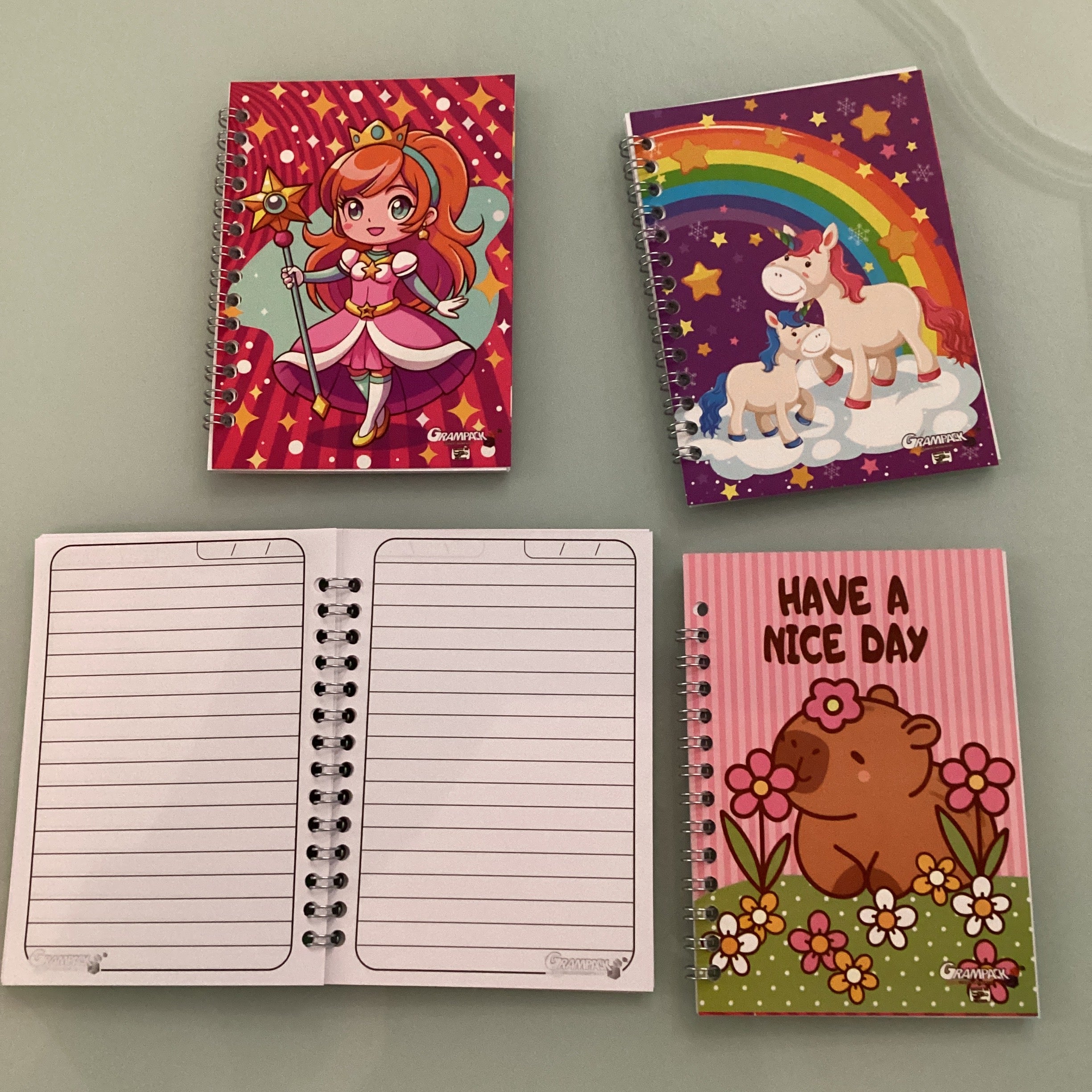 LIBRETA EN ESPIRAL 14X10 CM RAYA SURTIDA EN DISEÑOS PARA NIÑA POR MAYOREO