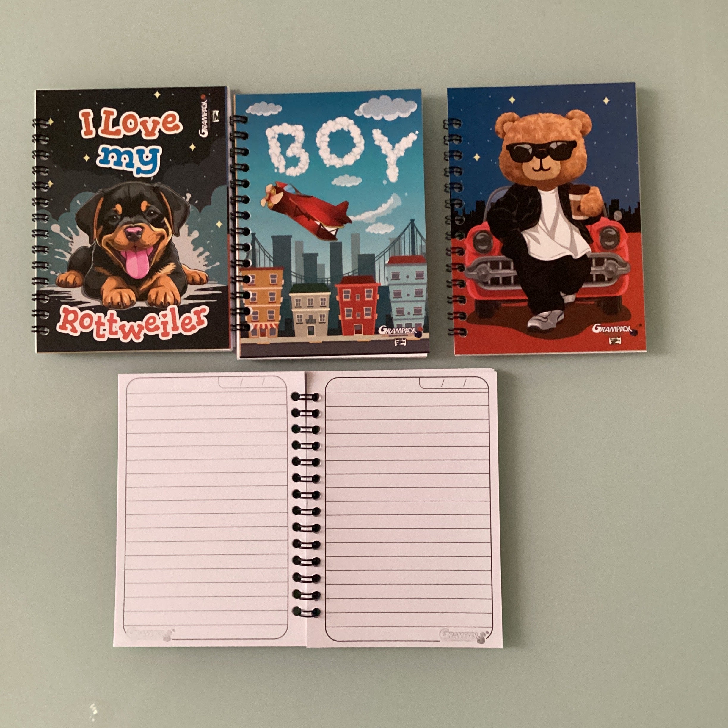 LIBRETA EN ESPIRAL 14X10 CM RAYA SURTIDA EN DISEÑOS PARA NIÑ0 POR MAYOREO