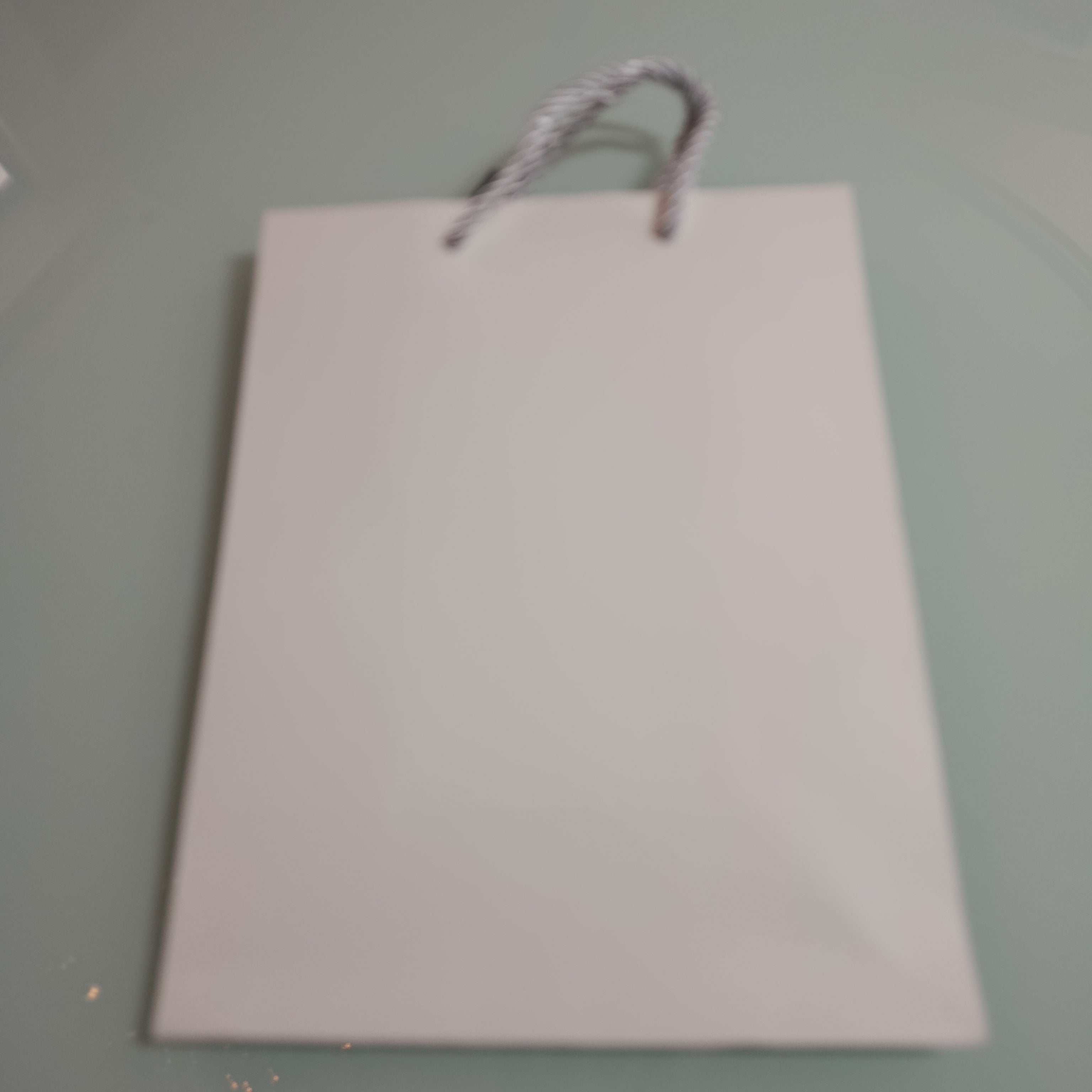 BOLSA DE PAPEL KRAFT PARA REGALO DE 23X18 CM CON CORDON DE LUJO POR MAYOREO